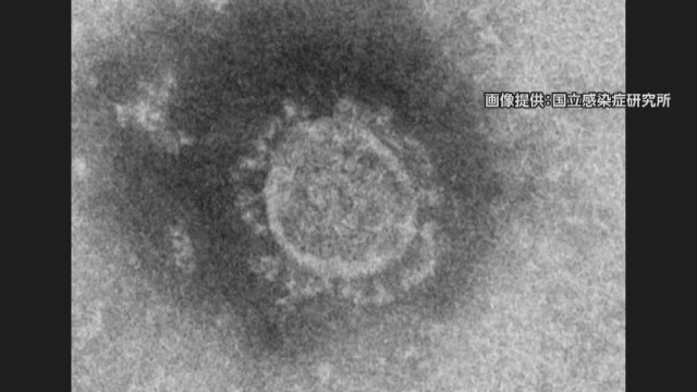 続報 長岡市11人 五泉市7人など 県が新潟市以外58人の内訳発表 新型コロナ 県内ニュース Nst新潟総合テレビ