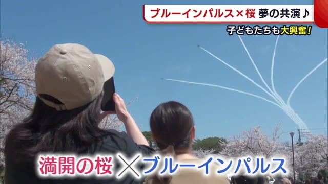 ブルーインパルス×満開の桜 夢の共演に子どもたちも大興奮！ 高田城址公園【新潟・上越市】 県内ニュース | NST新潟総合テレビ