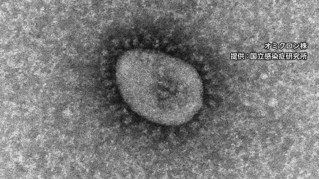 続報 新潟県で１４９人の感染発表 長岡市１５人 加茂市１２人など 小 中学校関連で新たな集団感染も 県内ニュース Nst新潟総合テレビ